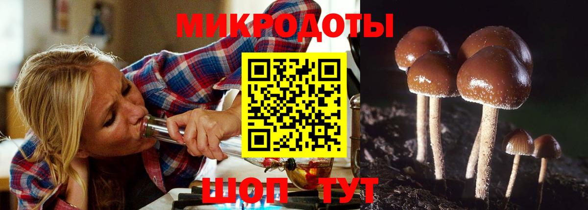 Галлюциногенные грибы Psilocybine cubensis  Вход с VPN  дарнет шоп  Мурино 